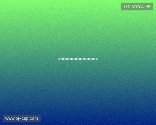 桑德兰足球复兴之路传统精神与现代战术的重塑俱乐部未来蓝图探索